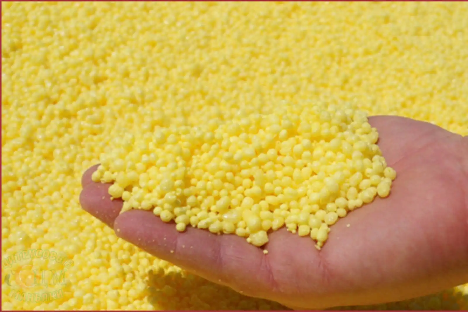 گوگرد صادراتی ایران